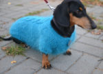 Warm Dog Sweater with Easy Buttons