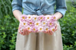 Crochet Evening Clutch Bag (Free Pattern)