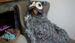 DIY Hooded Owl Blanket (Pattern)