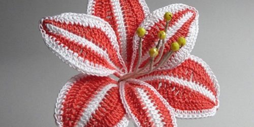 Crochet Amaryllis