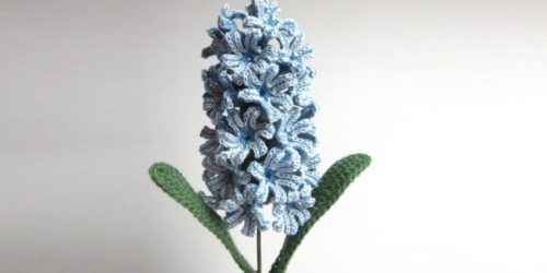 Crochet Hyacinth