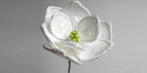 Crochet Magnolia