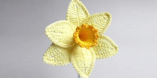 Crochet Narcissus