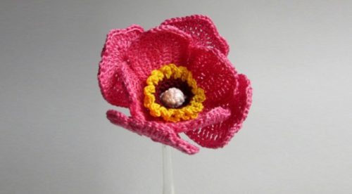 Crochet Wild Peony