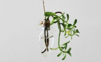 Tiny Lightbulb Recycles into a Tiny Vase