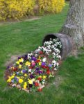 Spilled flower buckets