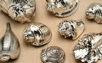 Silver Seashells, Beautiful