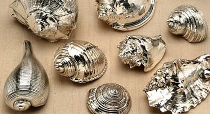 Silver Seashells, Beautiful