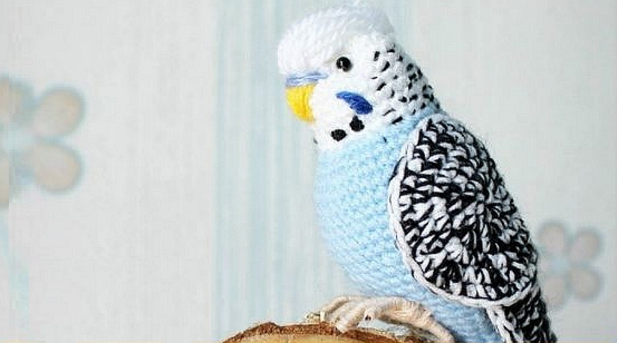 Crochet Budgie Pattern The Craft Chair